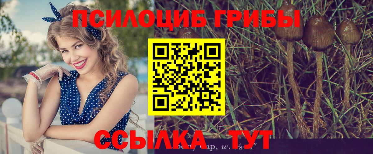 Галлюциногенные грибы Cubensis  Вход с VPN  купить закладку  Сафоново 